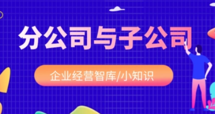 集團注冊分公司和子公司有哪些區別