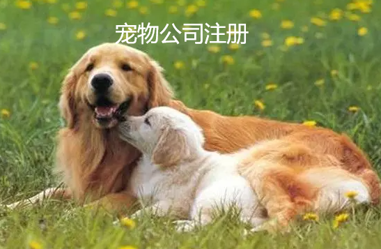 寵物公司注冊要求是什么