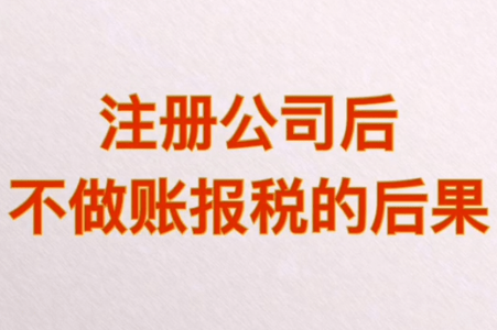 公司成立后不記賬報稅需承擔哪些后果